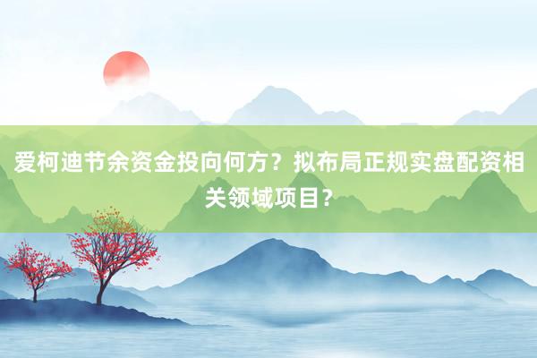 爱柯迪节余资金投向何方？拟布局正规实盘配资相关领域项目？