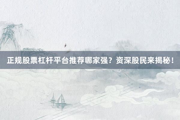 正规股票杠杆平台推荐哪家强？资深股民来揭秘！