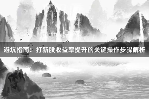 避坑指南：打新股收益率提升的关键操作步骤解析