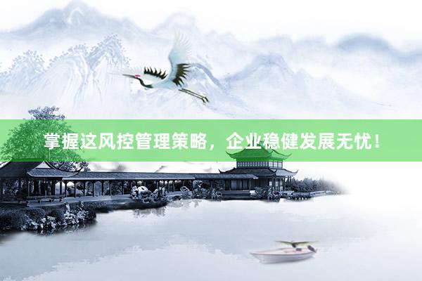 掌握这风控管理策略，企业稳健发展无忧！
