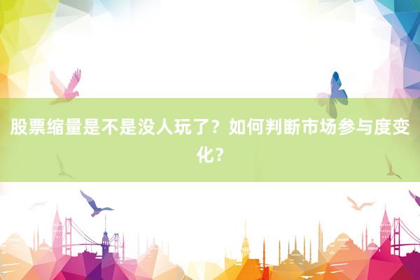 股票缩量是不是没人玩了？如何判断市场参与度变化？