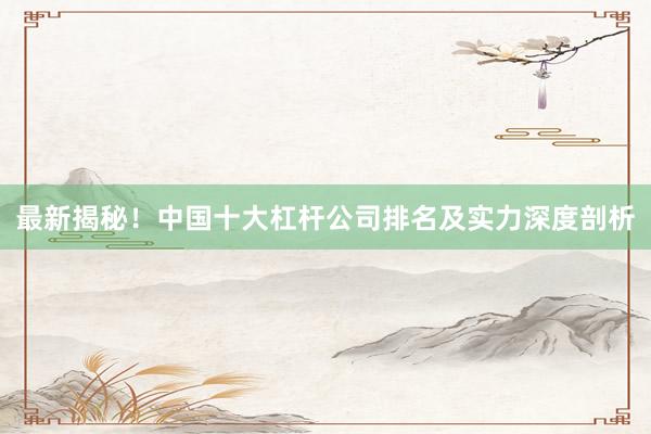 最新揭秘！中国十大杠杆公司排名及实力深度剖析